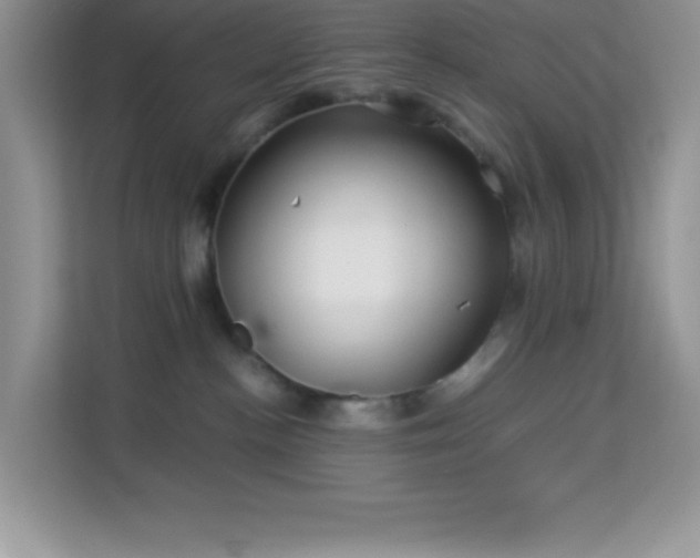X0000114190188200910091240