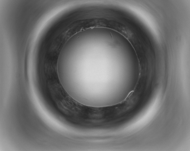 X0000114190191200910091240