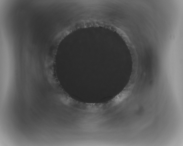 X0000114190192200910091240