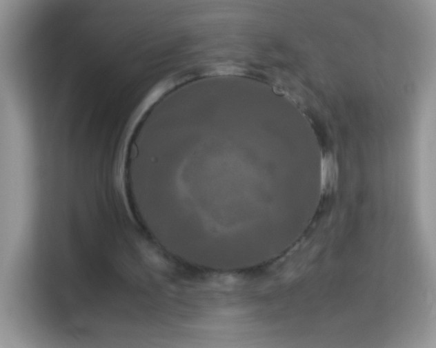X0000114190195200910091239