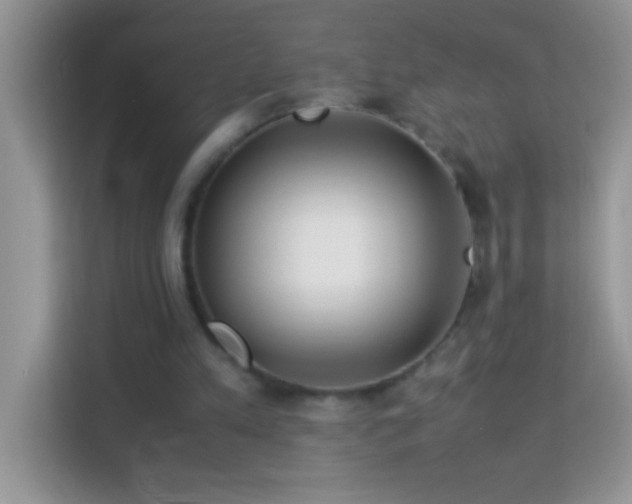 X0000114190197200910091239