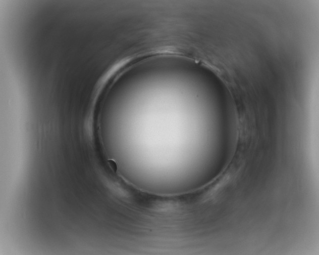 X0000114190200200910091239