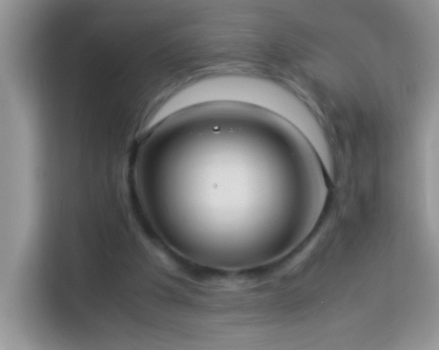 X0000114190201200910091239