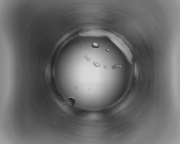 X0000114190204200910091239