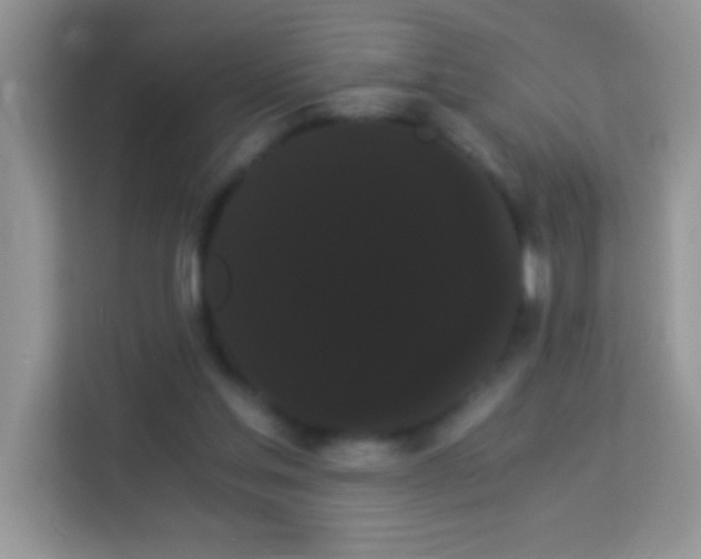 X0000114190205200910091239