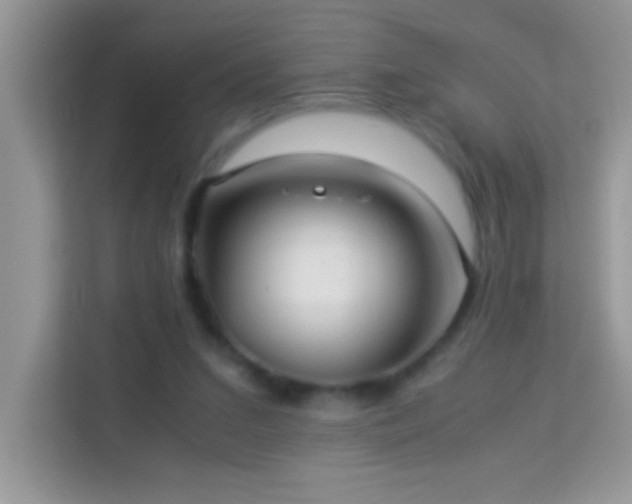 X0000114190207200910091239
