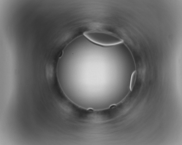 X0000114190211200910091239