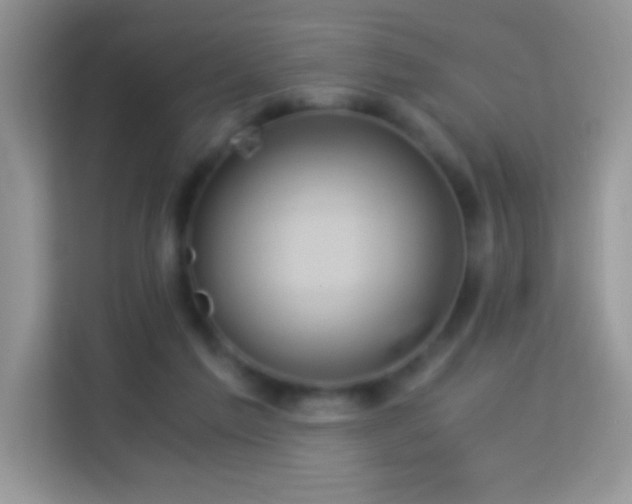 X0000114190213200910091239