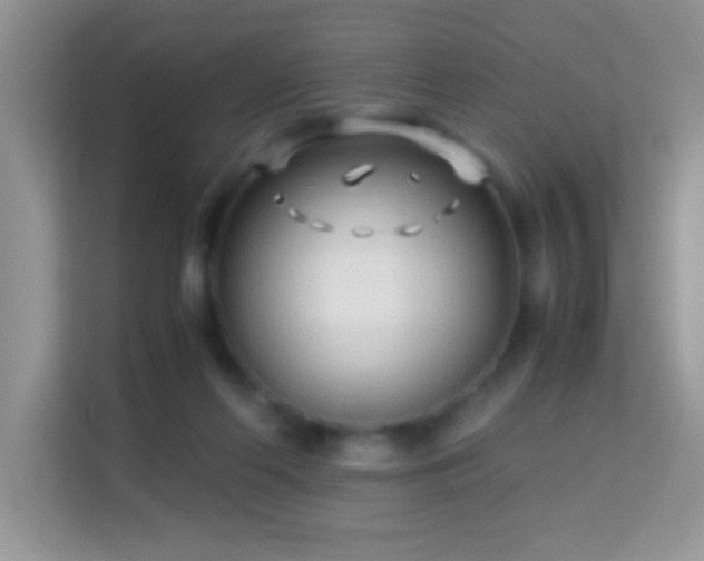 X0000114190214200910091239