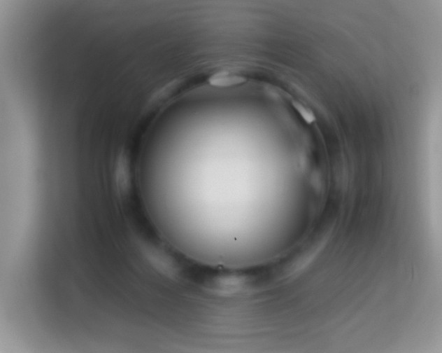 X0000114190216200910091239