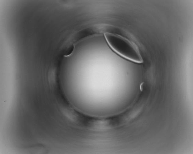 X0000114190217200910091239