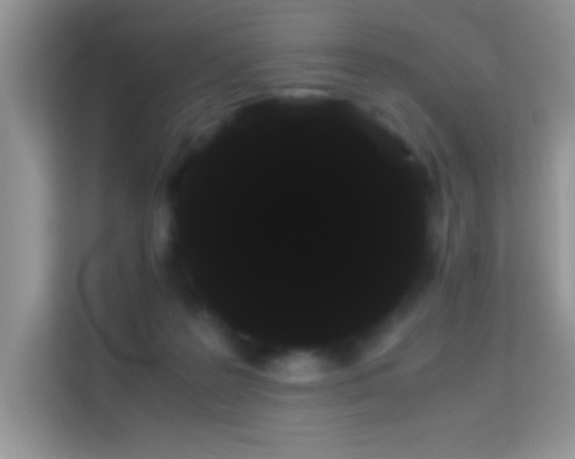 X0000114190219200910091239