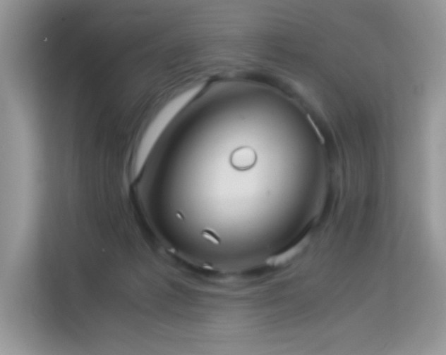 X0000114190221200910091239