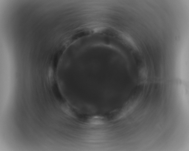 X0000114190222200910091239