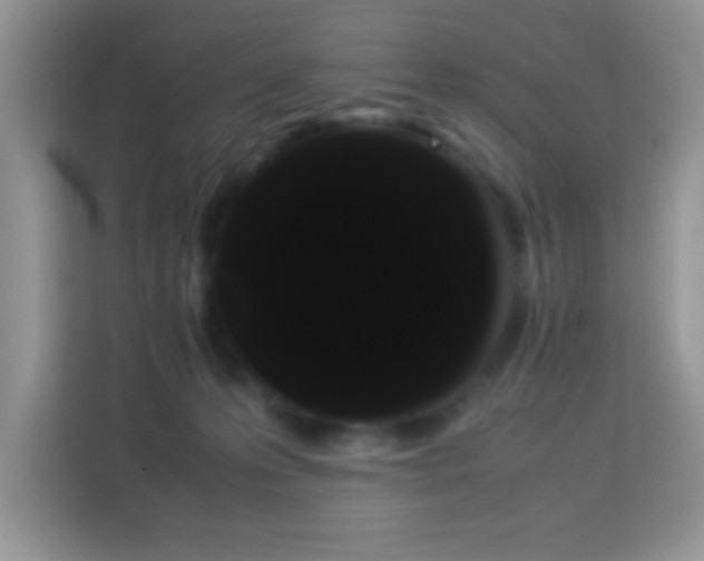 X0000114190223200910091239