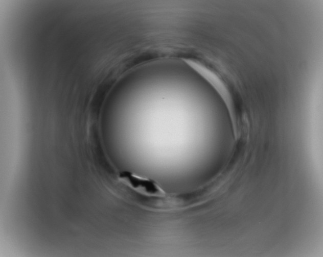 X0000114190225200910091239