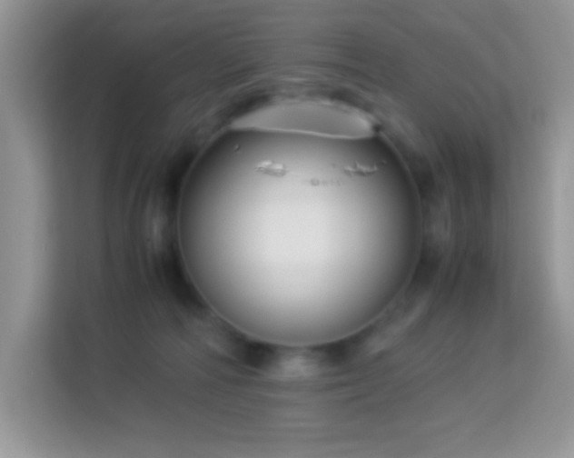 X0000114190226200910091239