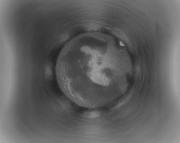 X0000114190228200910091239