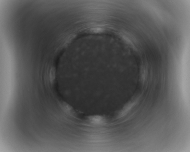 X0000114190230200910091238