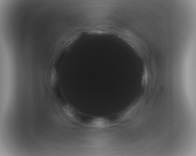 X0000114190231200910091238