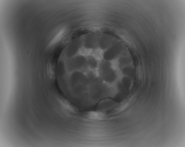 X0000114190234200910091238