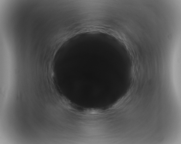 X0000114190235200910091238