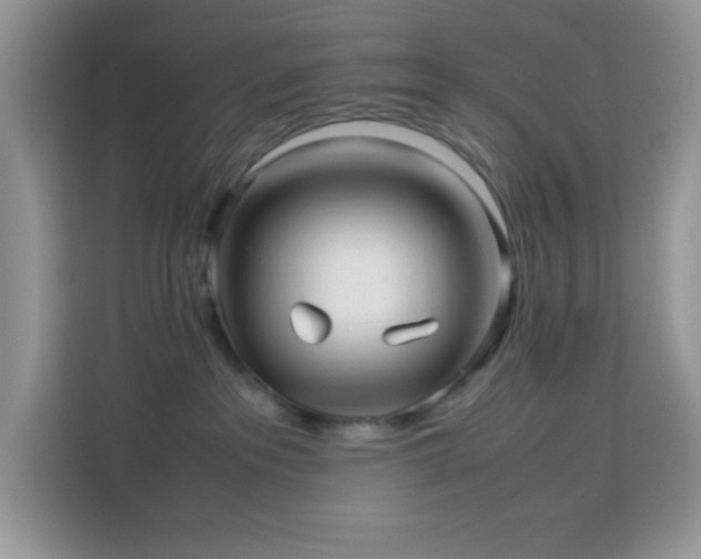 X0000114190237200910091238
