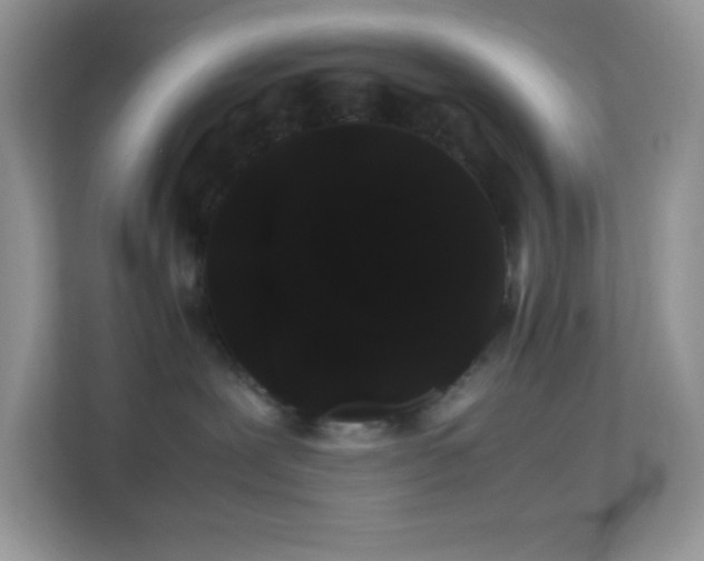 X0000114190239200910091238