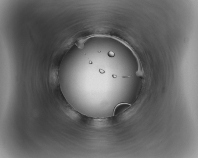 X0000114190240200910091238