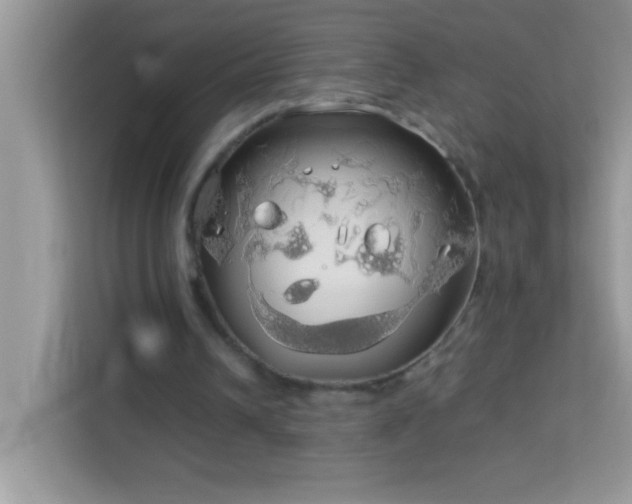 X0000114190242200910091238