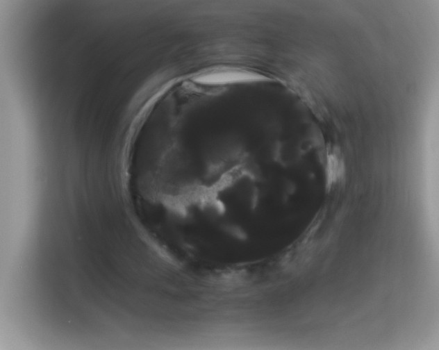 X0000114190243200910091238