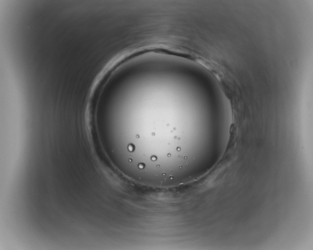 X0000114190244200910091238