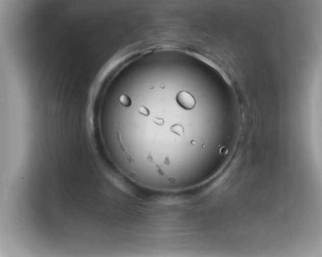 X0000114190246200910091238
