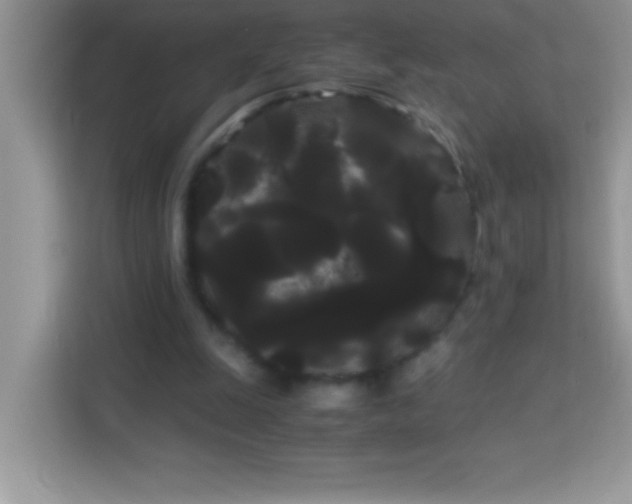 X0000114190247200910091238