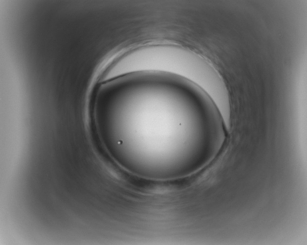 X0000114190248200910091238