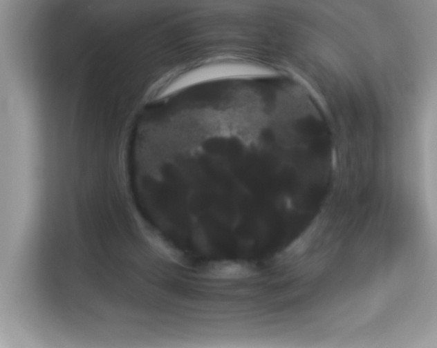 X0000114190249200910091238