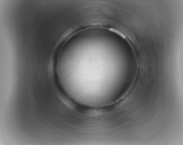 X0000114190250200910091238