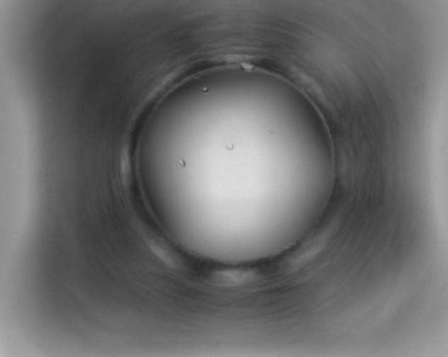X0000114190251200910091238