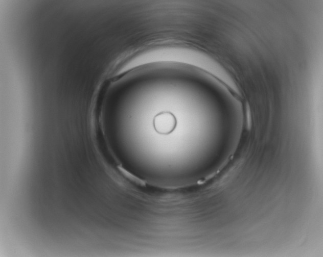 X0000114190252200910091238