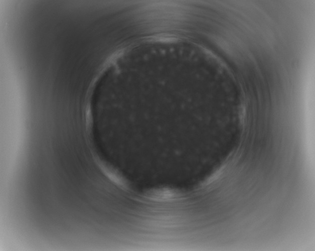 X0000114190254200910091238