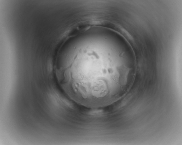 X0000114190257200910091238
