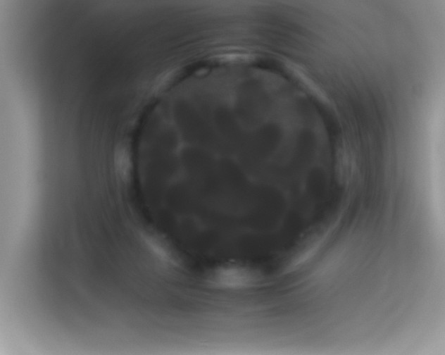 X0000114190259200910091238