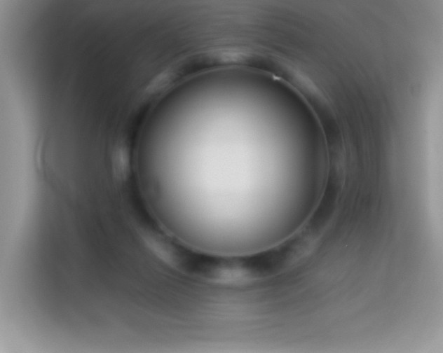 X0000114190262200910091238