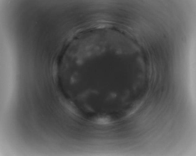 X0000114190263200910091238