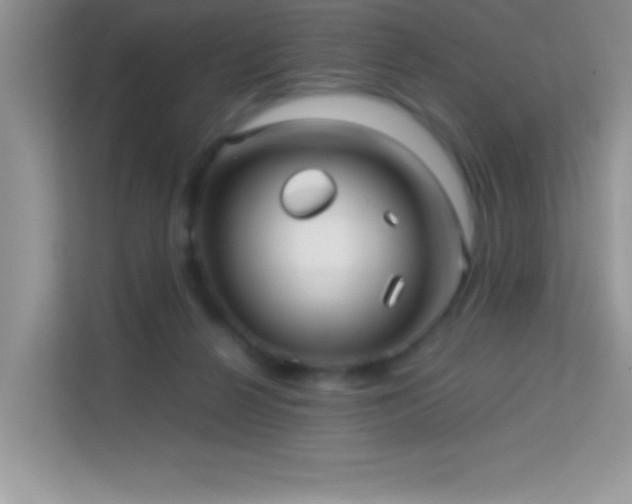 X0000114190264200910091238