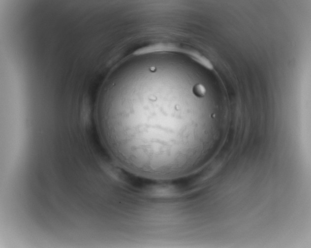 X0000114190266200910091238