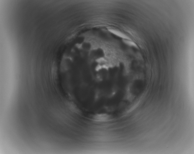 X0000114190269200910091238