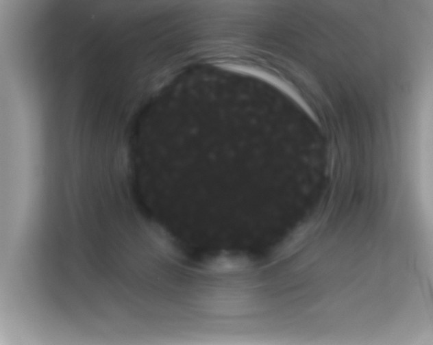 X0000114190270200910091238