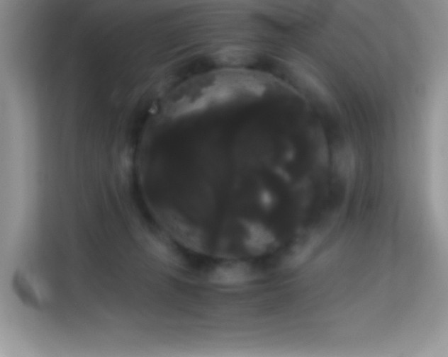 X0000114190271200910091238