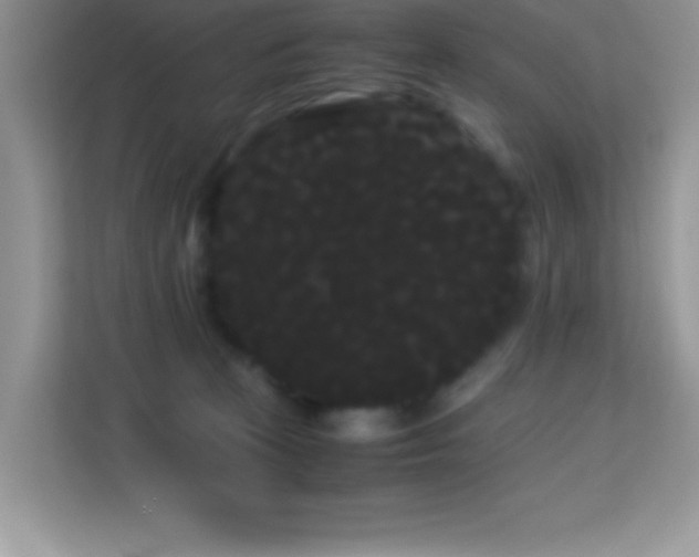 X0000114190273200910091238